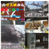 清水の次郎長と静岡名物「おでん」をあの店で　🍢
