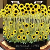 「８月のロビー装花」／帝国ホテル
