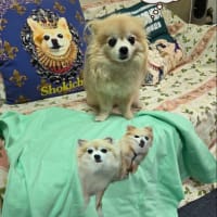 これって絶対着れないじゃん！