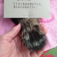 天晴れ！