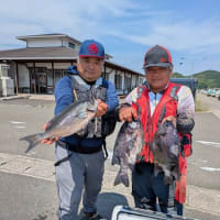2025年6月分、パイン5号の釣果