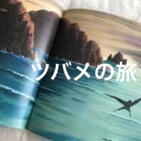 短歌    ☘️今日のお題「ツバメ」「ありがとう」「大相撲」「お箸」