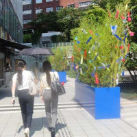 七夕一番！短冊が記入されている！短冊が記入されていない！