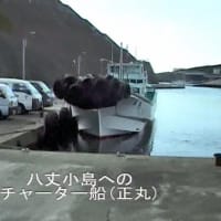 八丈小島もあるく　よみがえれ　三宅島応援ツアー　１１回目　八丈島