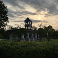 ＜2025.06.07＞  夕方の散歩に切り替え