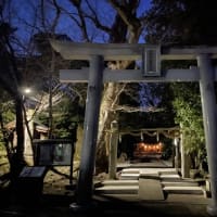 兵庫県佐用郡出張ブルース