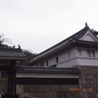 中世のバサラ武士、佐々木道誉ゆかりの丸亀城