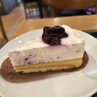 スターバックス〜ブルーベリーレアチーズケーキ〜