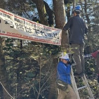 2024年12月1日（日）【共同活動】６号路一方通行片付け