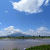 田圃の粗搔き