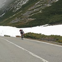 乗鞍岳　畳平周辺を散策　３