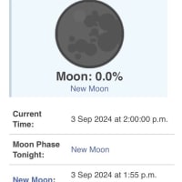 New Moon 