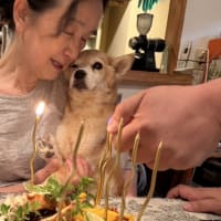  チップの訃報