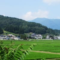 いい眠りとは言えず...