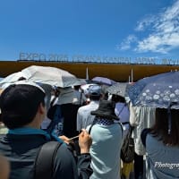 行ってきました