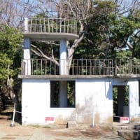 ヨコスカ猿島～昭和編