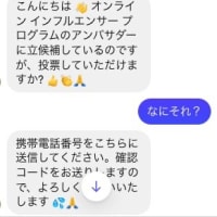 オンライン インフルエンサー プログラムのアンバサダーに立候補って意味わからないんですけど(笑)