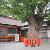 気になっていたので行ってきました