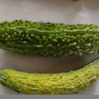 収穫野菜や頂き野菜とサークル差入れ