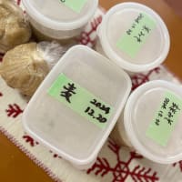 2025年1月、2月お味噌作り✨
