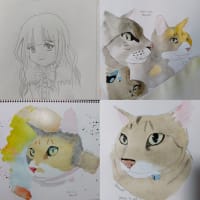 11月も半ばを過ぎて。