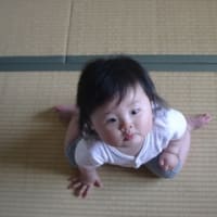 舌が長い 6ヶ月 184日目 赤ちゃんってオモシロイ 舌が長い 6ヶ月 184日目 赤ちゃんってオモシロイ