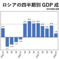 ロシア　　想定外のイランへの攻撃　信用できない中国　悪化が予想されるロシア経済