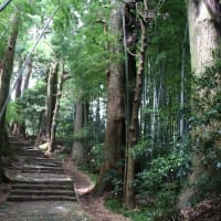 世界遺産　熊野古道です