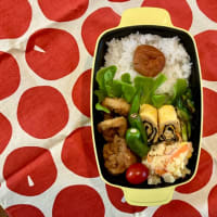 イカリングフライ弁当