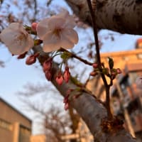 火曜日はお休みです。