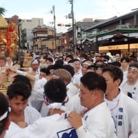 祇園祭神幸祭『令和6年』