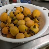 今週は忘備録になってしまう？