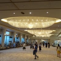 宝塚歌劇花組公演～悪魔城ドラキュラ、愛，Love Revue！