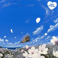 ■ゲスト掲載■　少路和伸さんの桜