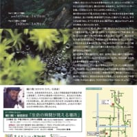 細川剛　写真展　－生命（いのち）の事情、僕たちの事情－
