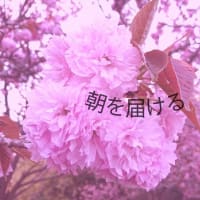 朝を届ける 2023.05.30