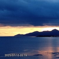 期日前投票へ意を決して出かけます。国民中心の日本であるために・・・