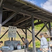 一週間後の経塚山ミヤマキリシマへ　もっと咲き出してますよ～