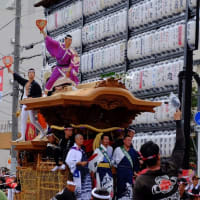 岸和田だんじり祭に行きました（前）