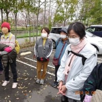 桜満開まであと一息　常福寺～桜川遊歩道コース