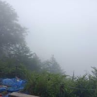 霧の金剛山（755回目）