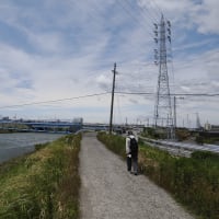 ❾花しょうぶの彩りを楽しむ油ヶ淵の水辺と応仁寺　ゴール