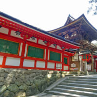 日本最古の神社の１つ、霊剣（神剣）祭る石上神宮／毎日新聞「やまとの神さま」（５）
