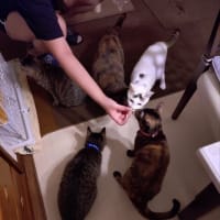 道の駅あいおい