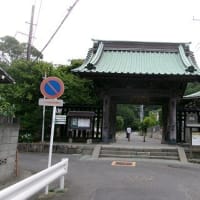 2025　梅雨入り前　鎌倉