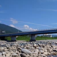 【釣】解禁日に空振って前日のリベンジに挑む　（2025/06/29　鮎　益田川）