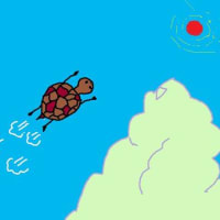 亀んちの　まったりとしたいつもの風景