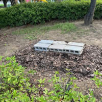 台風横浜接近の予報、ブルーシート等を使った腐葉土づくりの場の撤収を今日西洗公園愛護会で実行