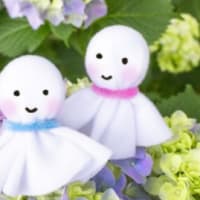 【季節と共存】梅雨中休み？天気も気まぐれ