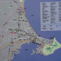 城郭の縄張り図と本丸１４（幕末築城）。